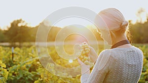 A woman farmer stands in a vineyard holding a bunch of grapes. The setting sun beautifully illuminates her