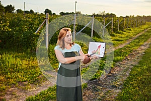 Woman farmer working in fruit garden and shows the level of crop growth using infographics. Biologist inspector examines