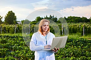 Woman farmer working in a strawberry field. Biologist inspector examines strawberry bushes using laptop