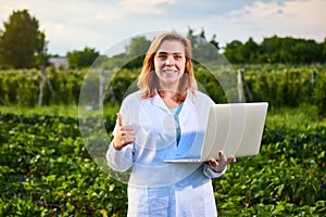 Woman farmer working in a strawberry field. Biologist inspector examines strawberry bushes using laptop