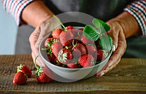 Woman farmer& x27;s hands are holding a bowl full of fresh strawberr