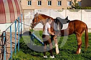 Woman fastening girth on saddled horse photo