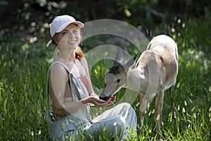 Woman feed deer. Wild animals concept. Woman feeding fawn. Animal at park.