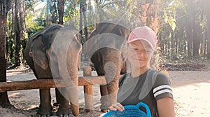 Woman feed the elephant in the tropics.