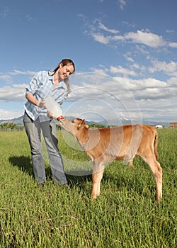 Woman feeding baby calf in field