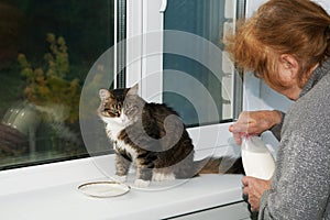 woman is feeding a cat milk from a saucer