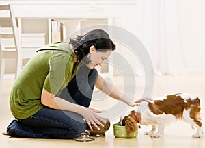 Woman feeding dog photo