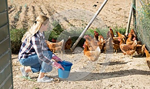 Woman feeding domestic hens