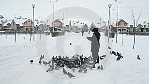 Woman is feeding a flock of pigeons