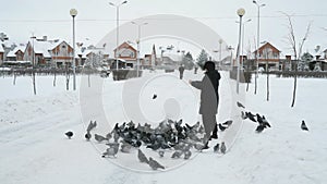 Woman is feeding a flock of pigeons in the Park in winter