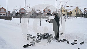 Woman is feeding a flock of pigeons in winter