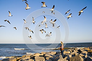 Woman feeding a gaggle of seagulls