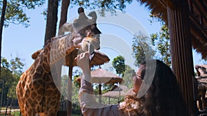 Woman is feeding giraffe in zoo park