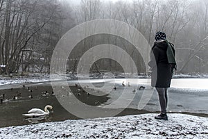 Woman feeding lake swans ducks Bird feed winter 3