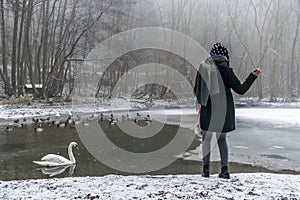Woman feeding lake swans ducks Bird feed winter 6