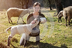 Woman is feeding a lamb with bottle of milk, animal welfare and