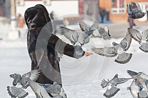 A woman is feeding pigeons from her hands. Feed birds in winter with hands.