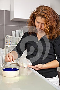 Woman feeding a rat at veterinarian