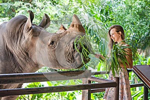 Woman feeding the rhino in the zoo