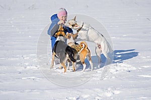 Woman feeding three dogs while playing outdoor at winter season