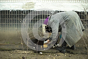 Woman feeds cats outside. Pensioner in Eastern Europe. Old woman in coat