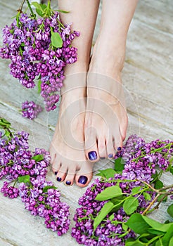 Woman feet with dark purple pedicure and lilac