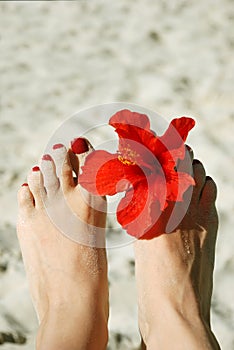 Woman feet with nail polish and flower