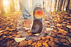 Woman Feet sneakers walking on fall leaves Outdoor