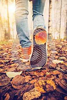 Woman Feet sneakers walking on fall leaves Outdoor