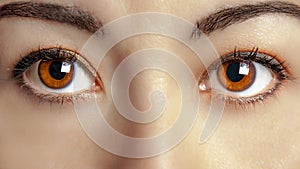 Woman Female Brown Eyes Eye Gaze Closeup