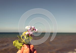 Woman female fingers holding flowers sea as background