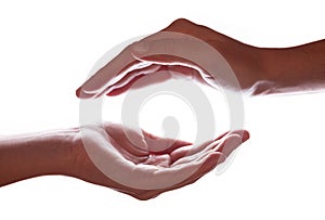 Woman or female hands cupped in a protection, protection, safety or safe concept symbol.