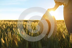 Woman in field with unripe spikes on sunny day