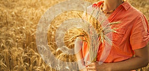 Woman in field with wheat in the hand. sunset. summer