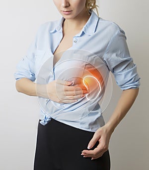 Woman with graphic visualisation of spleen photo