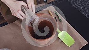 Woman is filling Ceramic flower pot with a substrate for planting indoor plants. View from above. Preparatory work.