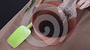 Woman is filling Ceramic flower pot with a substrate for planting indoor plants. View from above. Preparatory work.