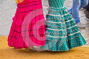 Woman flamenco dress