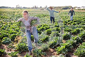 Woman fleeing farm field with stolen cabbages