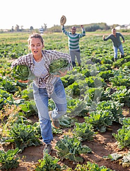 Woman fleeing farm field with stolen cabbages