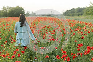 Woman in floral dress walking in poppy field in evening summer countryside. Atmospheric moment. Young female relaxing and