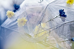 Woman floral umbrella on a misty day. Illustrating articles on self-reflection and solitude