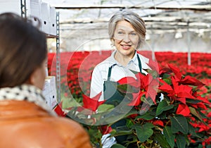 Woman florist advising female customer in greenhouse