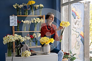 A woman florist collecting a bouquet of yellow daffodils works in her flower shop. March 8 concept