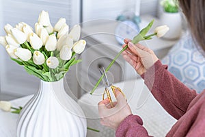 Woman florist cutting stem of tulips flowers with scissors and putting in vase on coffee table. Composing bouque.