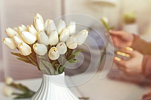 Woman florist cutting stem of tulips flowers with scissors and putting in vase on coffee table. Composing bouque.