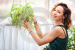 Woman and flower chlorophytum. Girl in the interior of the living room in the Scandinavian style. Winter garden with flowers. Flow