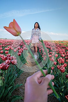 Woman in flower field, young girl in tulip field in the Netherlands during spring season on a bright sunny day