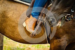 Woman foot in stirrup on horse saddle