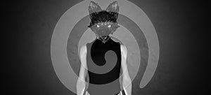 Woman in a Foxy Wolf Mask Gothic Face Fashion Science Fiction Rock Artwork